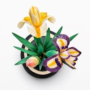 Japanese okimono from the Meiji period (1868–1912) iris botanical hana-shōbu